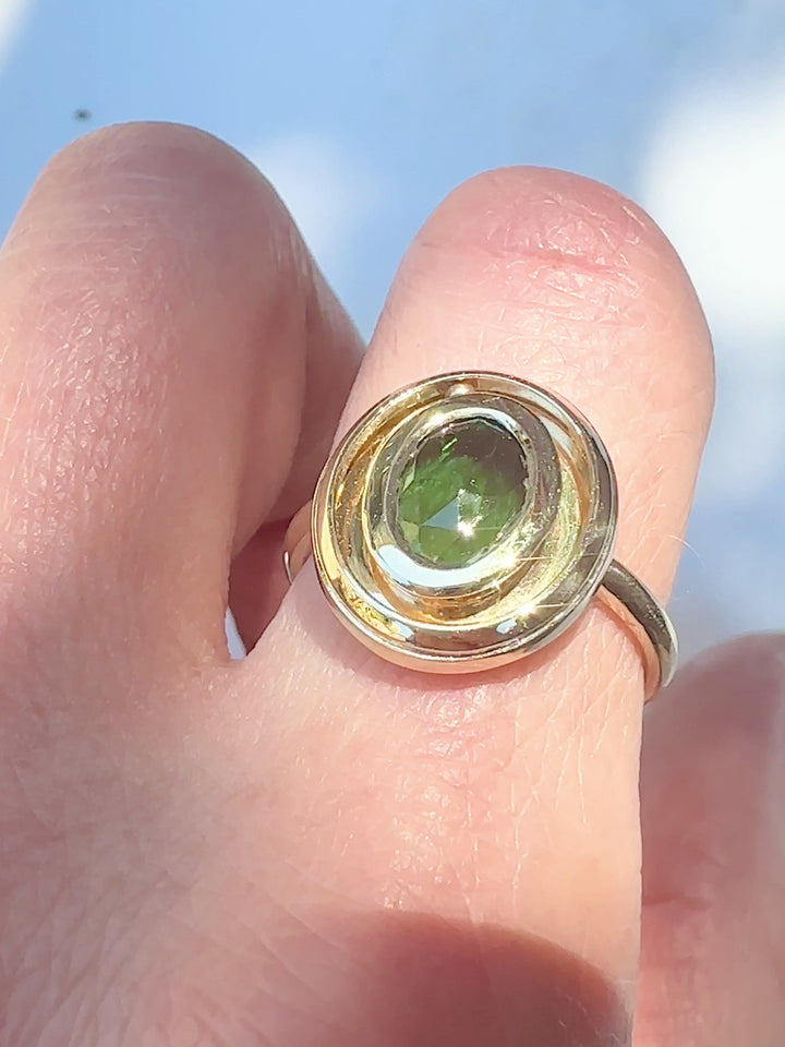 Modeled video of the kinetic oval orbit ring in motion in the sunshine.