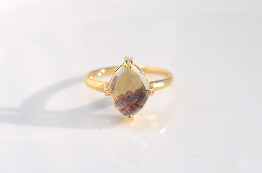 Portrait Cut Shaker Ring with Garnet