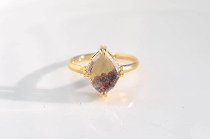 Portrait Cut Shaker Ring with Garnet